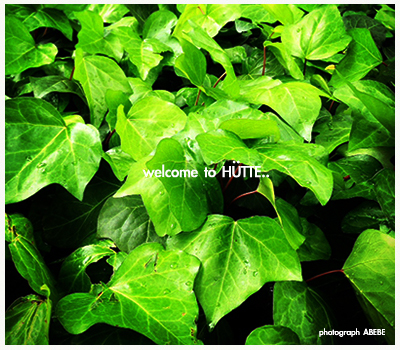 Welcome To Hutte!!